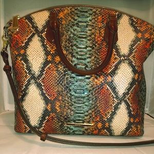 Brahmin - Multi Hansen